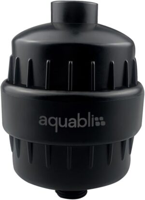 AquaBliss High Output Revitalizing ...