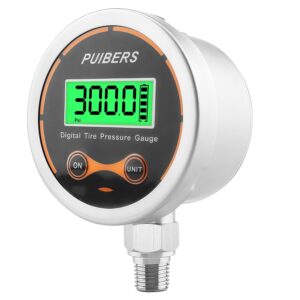300 Psi Digital Water Pressure Gaug...