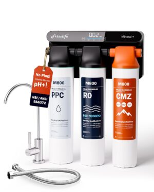 Frizzlife M800 Non-Electric Tankles...