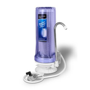 Ronaqua One Stage Countertop Drinki...
